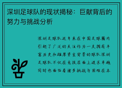 深圳足球队的现状揭秘：巨献背后的努力与挑战分析