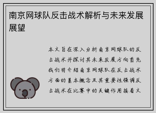南京网球队反击战术解析与未来发展展望